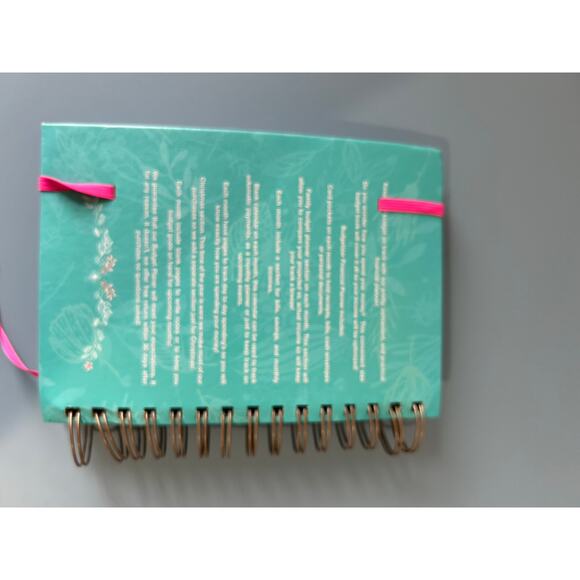 Budget Book for finances organizing improvement - Picture 11 of 11